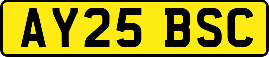 AY25BSC
