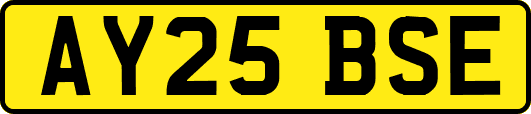 AY25BSE