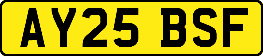 AY25BSF
