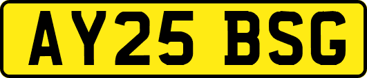 AY25BSG