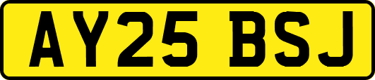 AY25BSJ