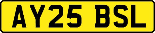 AY25BSL