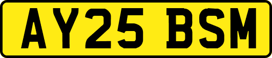 AY25BSM