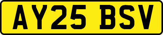 AY25BSV