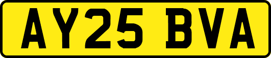 AY25BVA