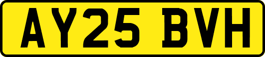 AY25BVH
