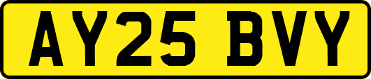 AY25BVY