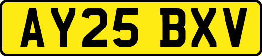 AY25BXV