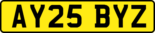 AY25BYZ