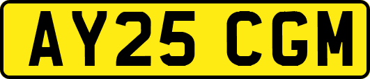 AY25CGM