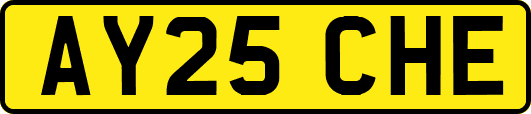 AY25CHE