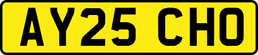 AY25CHO
