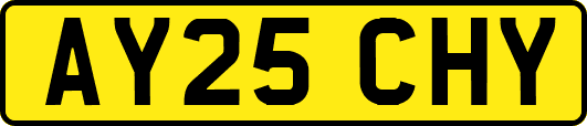 AY25CHY