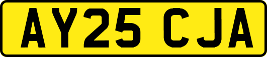AY25CJA