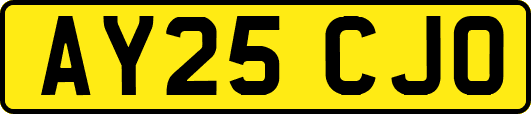 AY25CJO