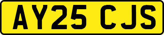 AY25CJS