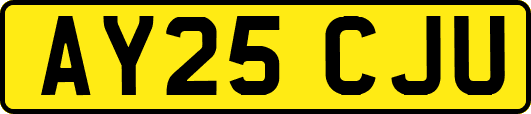 AY25CJU