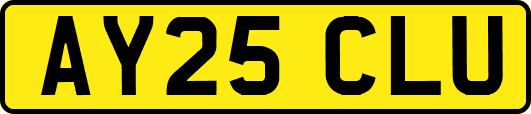 AY25CLU