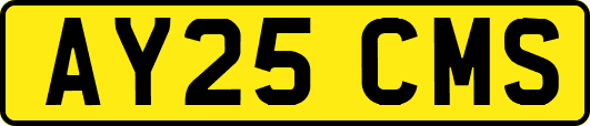 AY25CMS