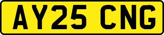 AY25CNG