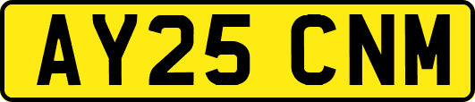 AY25CNM