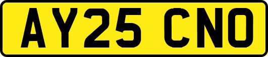 AY25CNO