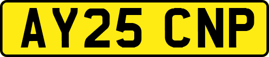AY25CNP
