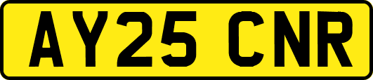 AY25CNR