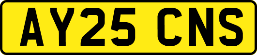 AY25CNS