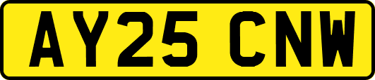 AY25CNW