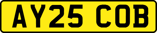 AY25COB