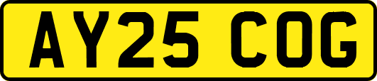 AY25COG