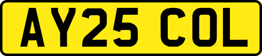 AY25COL
