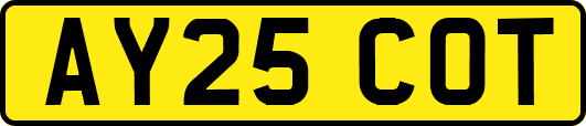 AY25COT