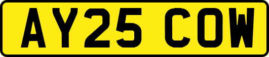 AY25COW
