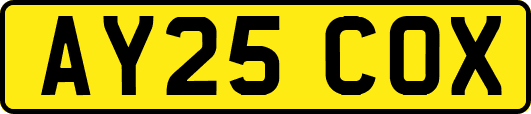 AY25COX
