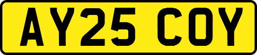 AY25COY