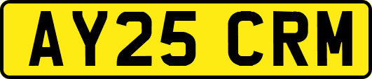 AY25CRM