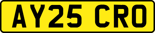 AY25CRO