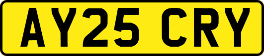 AY25CRY