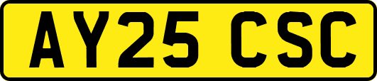 AY25CSC