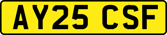 AY25CSF