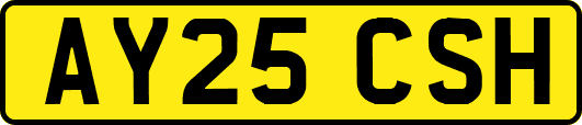 AY25CSH