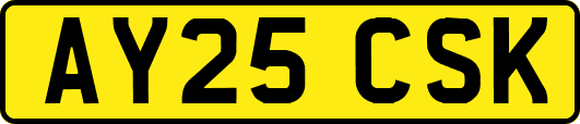 AY25CSK