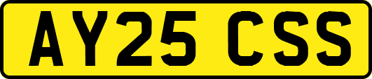 AY25CSS