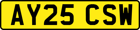 AY25CSW