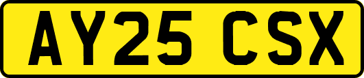 AY25CSX