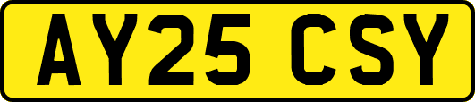 AY25CSY