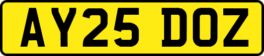 AY25DOZ