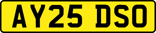 AY25DSO